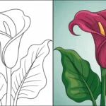 Flower coloring pages