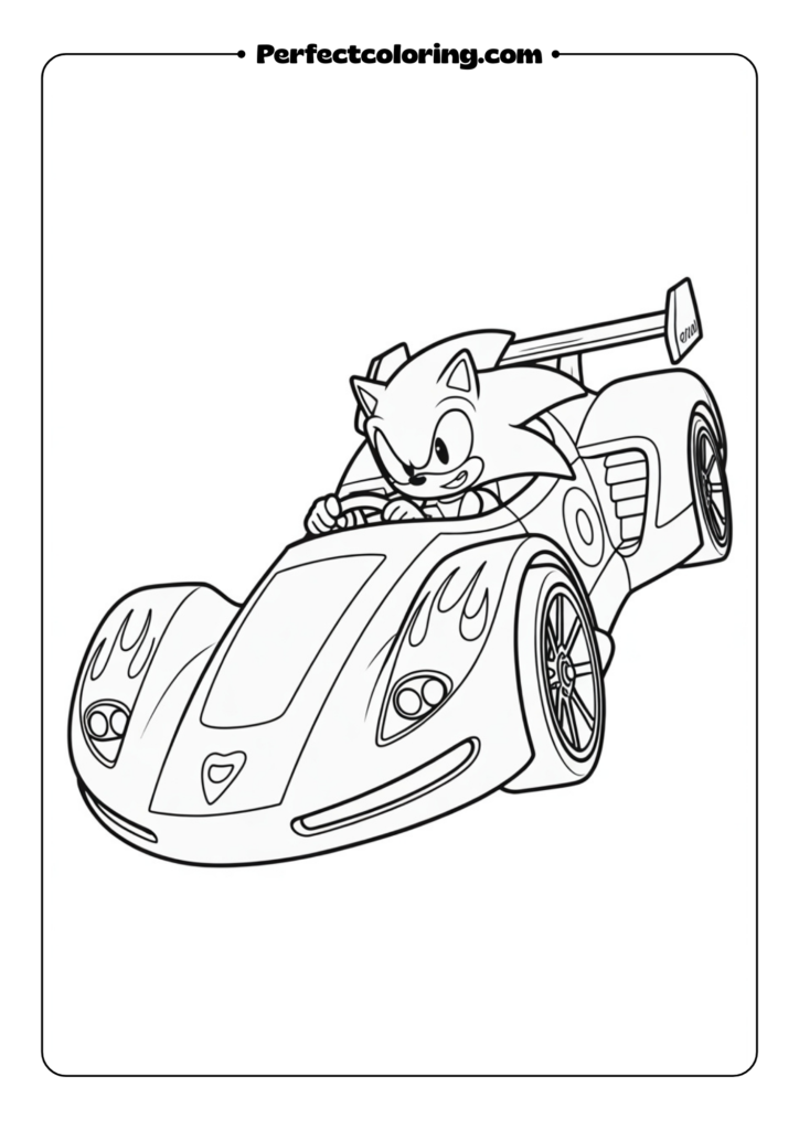 Sonic in a Race Car